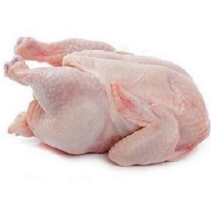 مرغ گرم ارگانیک شمال فله