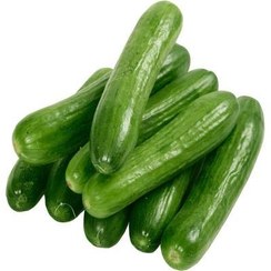خیار سبز گلخانه ای ( میوه)