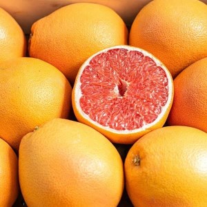 گریپ فروت ( میوه) یافا
