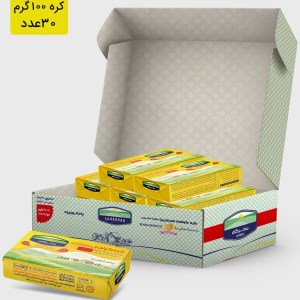 کره گیاهی (مارگارین ) سحرگاه 100گرم