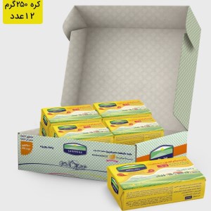 کره گیاهی مارگارین سحرگاه 250 گرم 12 عددی