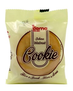 کلوچه معمولی گردویی درنا 36 عددی