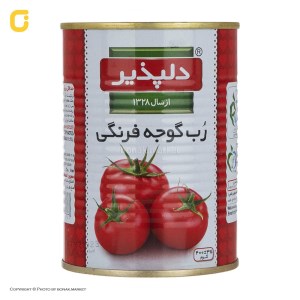 رب گوجه دلپذیر قوطی 400 گرم