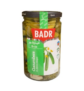 خیارشور ویژه بدر 630 گرم