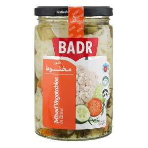 ترشی مخلوط شور بدر 630 گرم