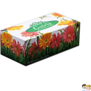 دستمال کاغذی گلدار گلریز گلدن 300 برگ