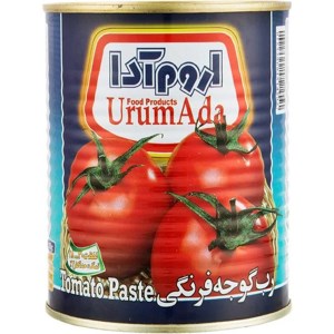 رب گوجه فرنگی قوطی اروم ادا 800 گرمی