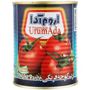 رب گوجه اروم ادا قوطی 800گرم