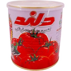 رب گوجه کلیدی دلند 800 گرم