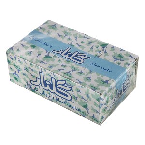 صابون حمام گلنار نارگیل سبز 6عددی 130گرم