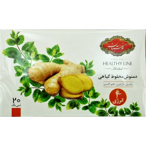 دمنوش انرژی گلستان باطعم زنجبیل دارچین 20عدد