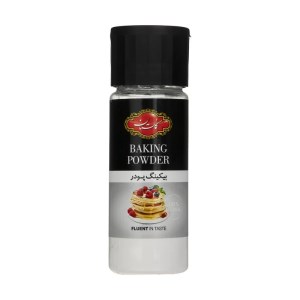 بیکینگ پودر نمک پاشی گلستان 120 گرم