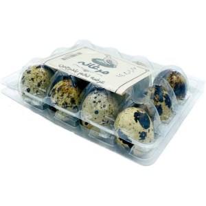 تخم بلدرچین بسته بندی تخم بلدرچین بسته بندی